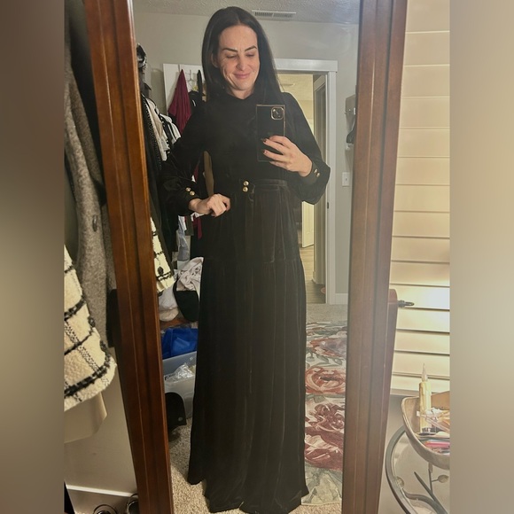 NWT ALEEZA PARIS Mali Velvet Maxi Dress - Picture 4 of 7